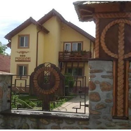 Pensiunea Pentru Tine Prietene Arcani Номер фото