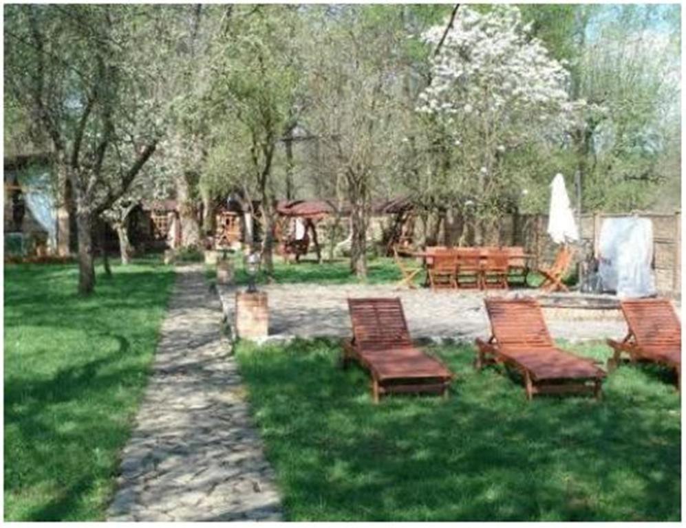 Pensiunea Pentru Tine Prietene Arcani Номер фото