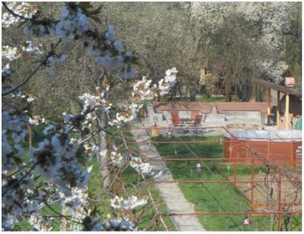 Pensiunea Pentru Tine Prietene Arcani Номер фото
